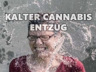 kalter cannabis entzug
